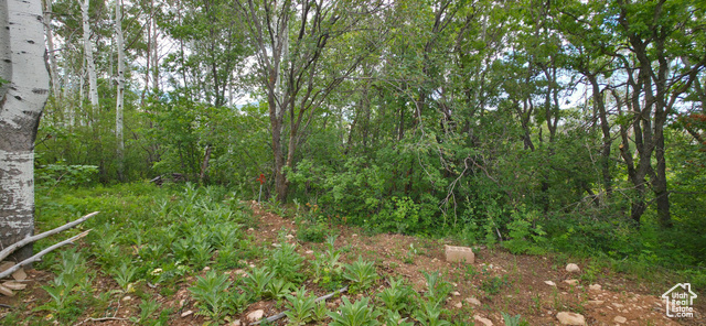 Photo 6 for MLS #2091828 at 11 Tabby Rd #11