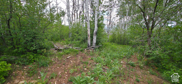 Photo 12 for MLS #2091828 at 11 Tabby Rd #11