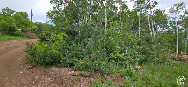 Photo 14 for MLS #2091828 at 11 Tabby Rd #11