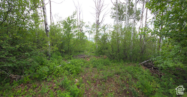 Photo 8 for MLS #2091828 at 11 Tabby Rd #11