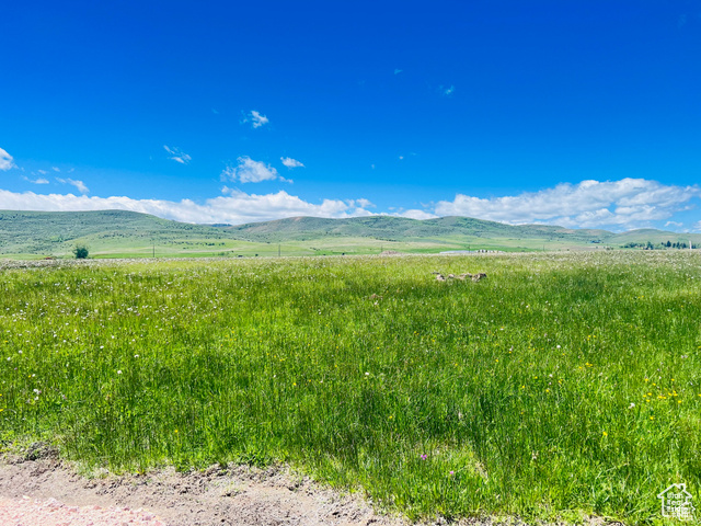 6510 Us Hwy 89