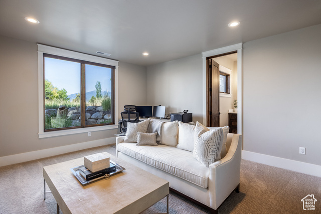 Photo 45 for MLS #2092199 at 1225 Oquirrh Mountain Dr