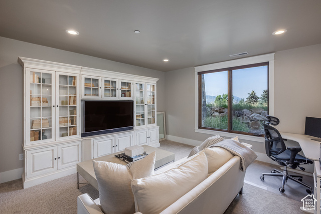 Photo 46 for MLS #2092199 at 1225 Oquirrh Mountain Dr