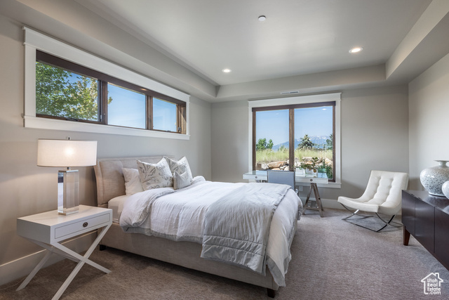 Photo 41 for MLS #2092199 at 1225 Oquirrh Mountain Dr