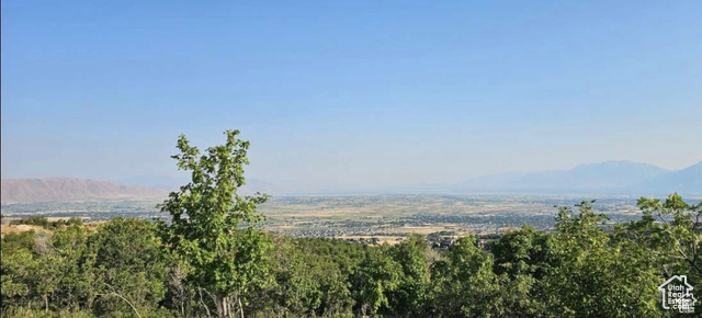 1007 S SUMMIT CREEK DR, Woodland Hills UT 84653