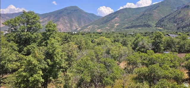 730 S SUMMIT DR, Woodland Hills UT 84653