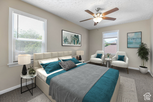 Photo 13 for MLS #2092241 at 810 Canyon Rd