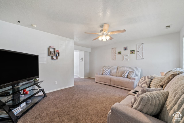 Photo 4 for MLS #2092311 at 1021 Sara Ln