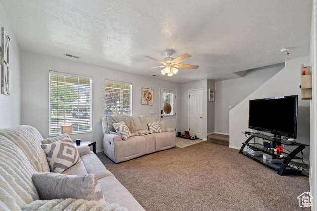 Photo 5 for MLS #2092311 at 1021 Sara Ln