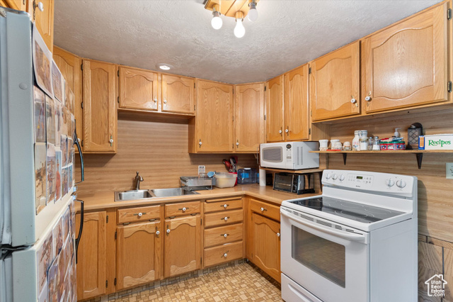 Photo 11 for MLS #2092365 at 6907 E Mt Aire Rd