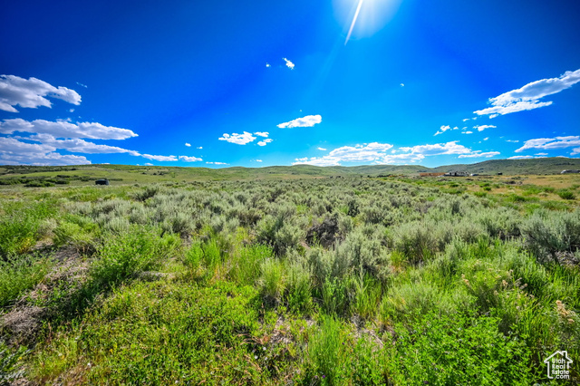29496 N 8960 E, Fairview UT 84629
