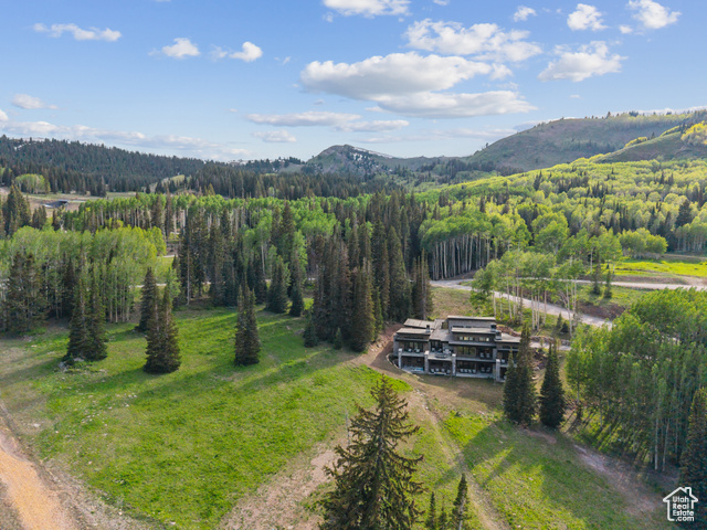 Photo 82 for MLS #2092528 at 323 White Pine Canyon Rd