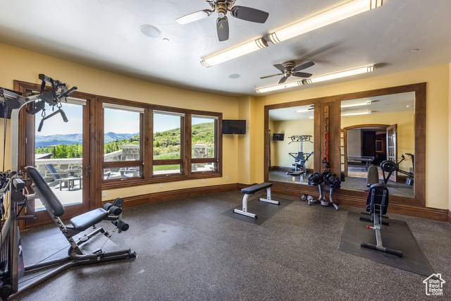 Photo 55 for MLS #2092668 at 8066 N Red Fox Ct