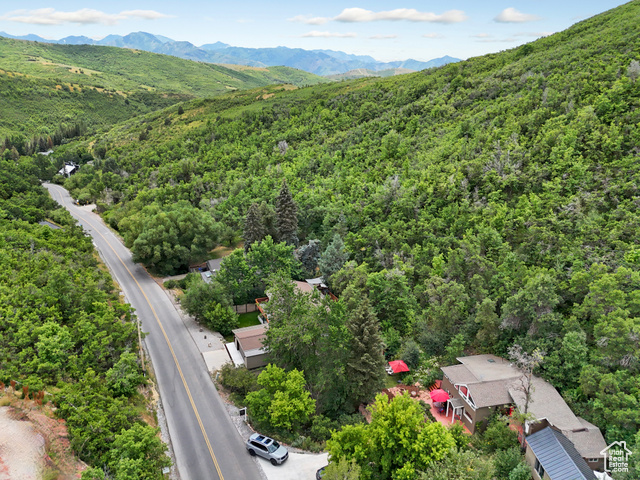 Photo 33 for MLS #2092722 at 1155 N Pinecrest Canyon Rd