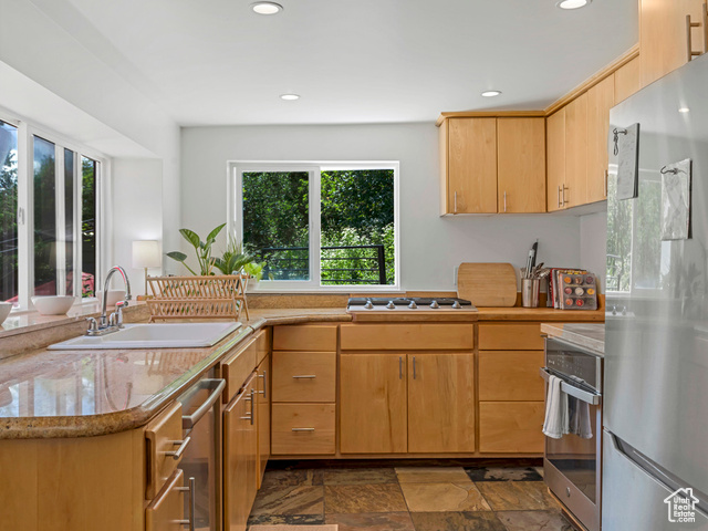 Photo 15 for MLS #2092722 at 1155 N Pinecrest Canyon Rd