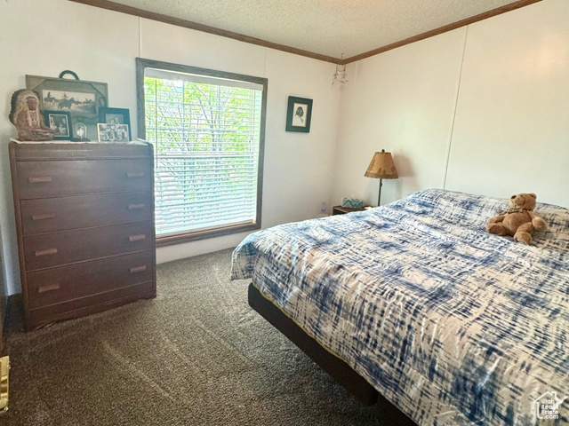 Photo 30 for MLS #2092771 at 2221 W Highway 43