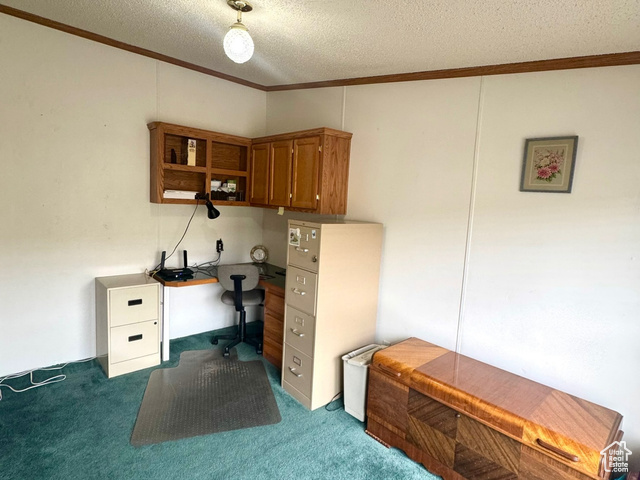 Photo 37 for MLS #2092771 at 2221 W Highway 43