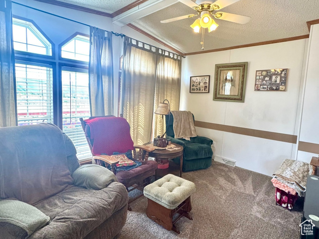 Photo 23 for MLS #2092771 at 2221 W Highway 43