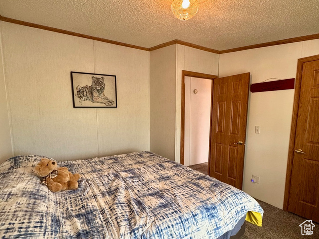 Photo 31 for MLS #2092771 at 2221 W Highway 43