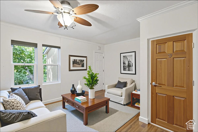 Photo 22 for MLS #2092861 at 537 N Darwin St