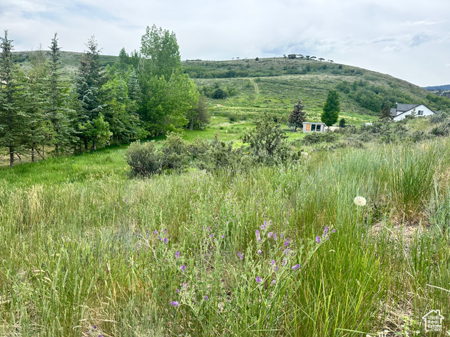 644 W DEE DR, Garden City UT 84028