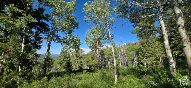 17603 S BEAVER MOUNTAIN CIR, Spanish Fork UT 84660