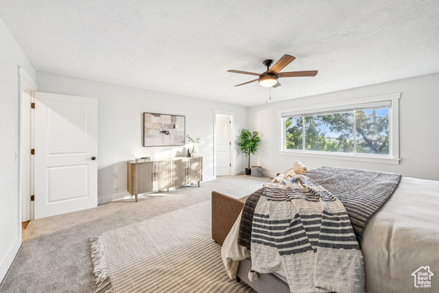 Photo 18 for MLS #2092961 at 8816 S Alpen Way