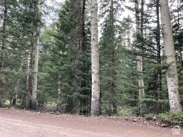 , Beaver UT 84713