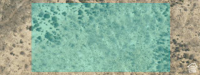 2093038.jpg