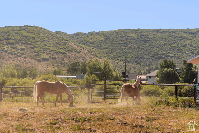 Photo 30 for MLS #2093057 at 266 W Old Ranch Rd