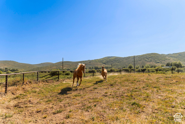 Photo 31 for MLS #2093057 at 266 W Old Ranch Rd