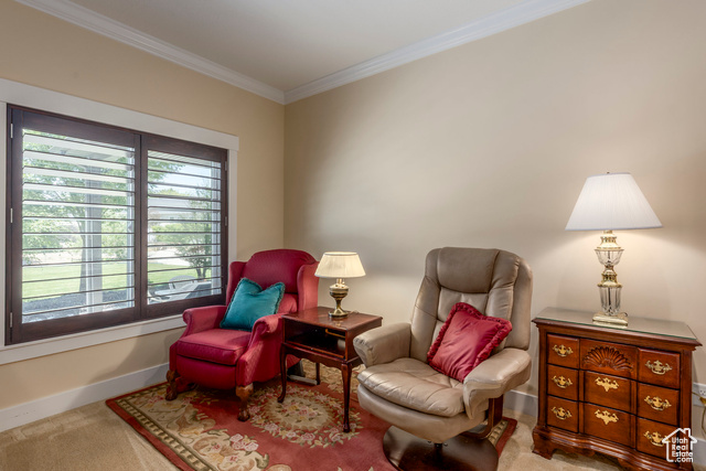 Photo 17 for MLS #2093129 at 9532 S Willow Trail Way