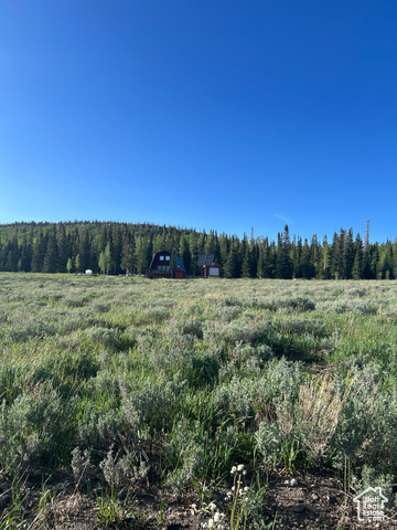 2133 E 2100 S, Brian Head UT 84719