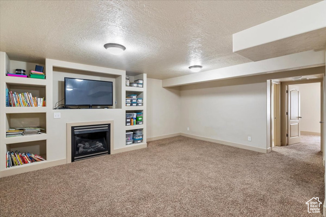 Photo 20 for MLS #2093303 at 4257 W Lake Bridge Dr