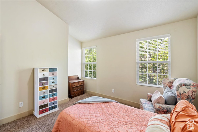 Photo 25 for MLS #2093303 at 4257 W Lake Bridge Dr