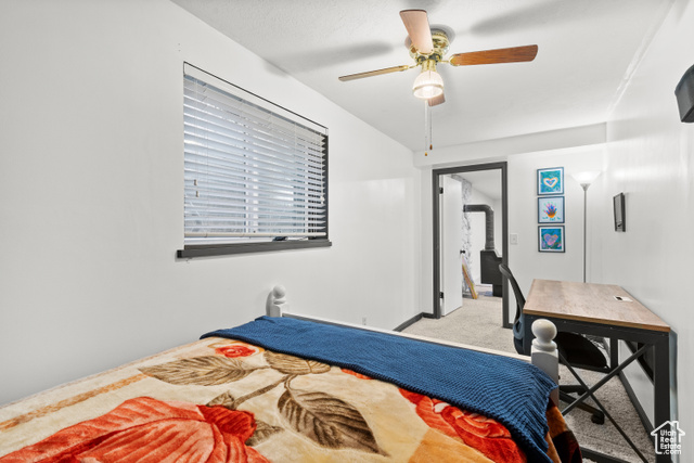 Photo 43 for MLS #2093358 at 958 N Main St