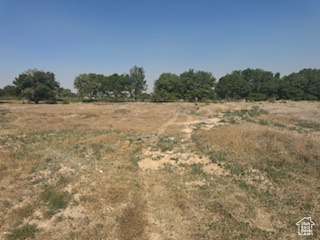 2308 E HIGHWAY 40, Naples UT 84078