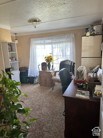 Photo 13 for MLS #2093581 at 1086 E Main St