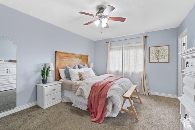 Photo 14 for MLS #2093642 at 496 S 3rd