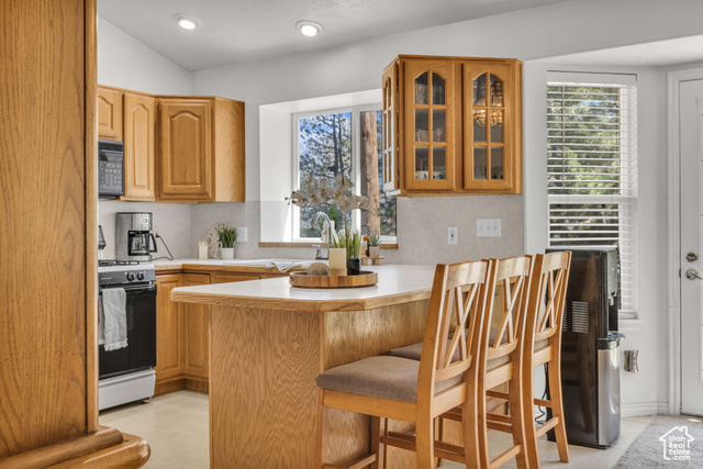 Photo 14 for MLS #2093743 at 1156 E Avalon Hills Dr