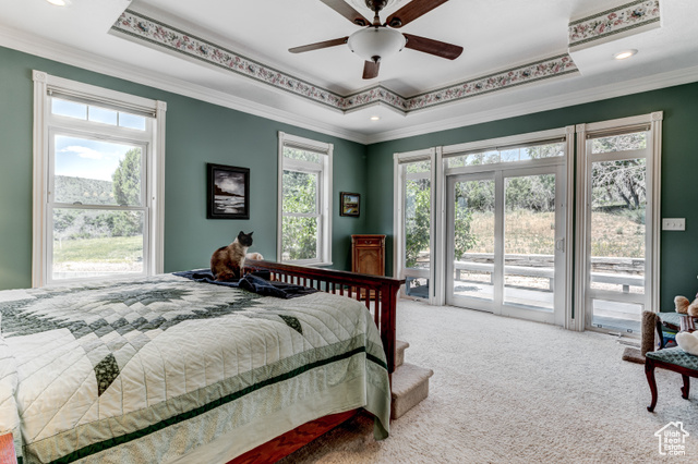 Photo 17 for MLS #2093757 at 30455 N 11000 East