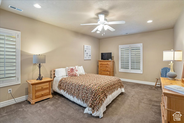Photo 41 for MLS #2094503 at 12937 S Old Country Ct