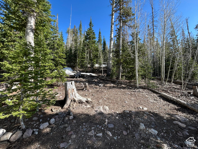 Photo 36 for MLS #2094605 at 468 E Trail Rd