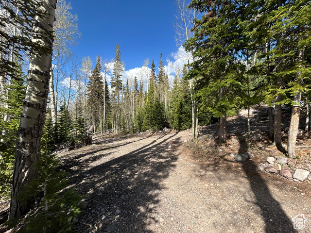 Photo 5 for MLS #2094605 at 468 E Trail Rd