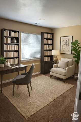 Photo 12 for MLS #2094732 at 584 S Loafer Dr