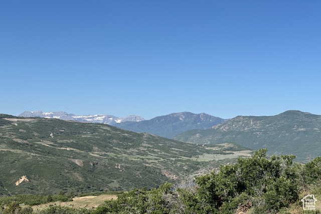 3135 E COUGAR MOON WAY, Kamas UT 84036