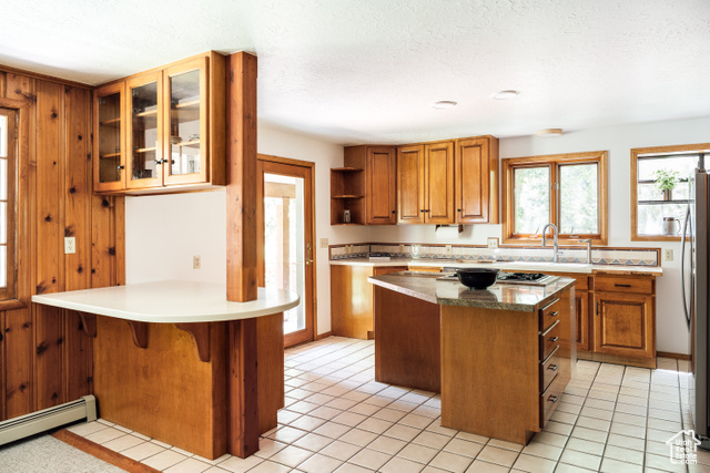 Photo 22 for MLS #2094912 at 2205 N Pinecrest Canyon Rd