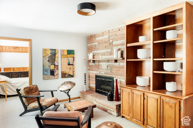 Photo 28 for MLS #2094912 at 2205 N Pinecrest Canyon Rd