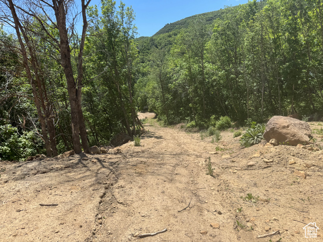 29  L BIRCH CREEK DR, Fairview UT 84629