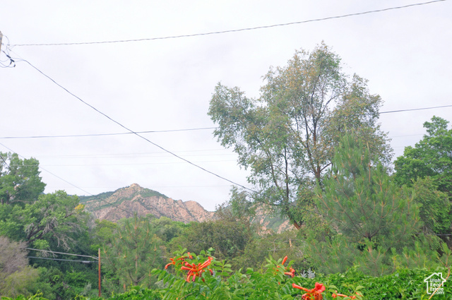 Photo 17 for MLS #2095233 at 1160 E 12th St